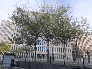 R-6374541 Traspaso Cocina Industrial en Hospitalet