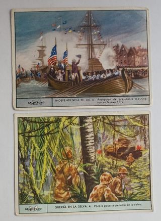 Lote Cromos Gallicromos Gallina Blanca Años 50