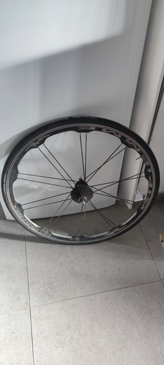 Bicicleta carretera Wilier más Regalos