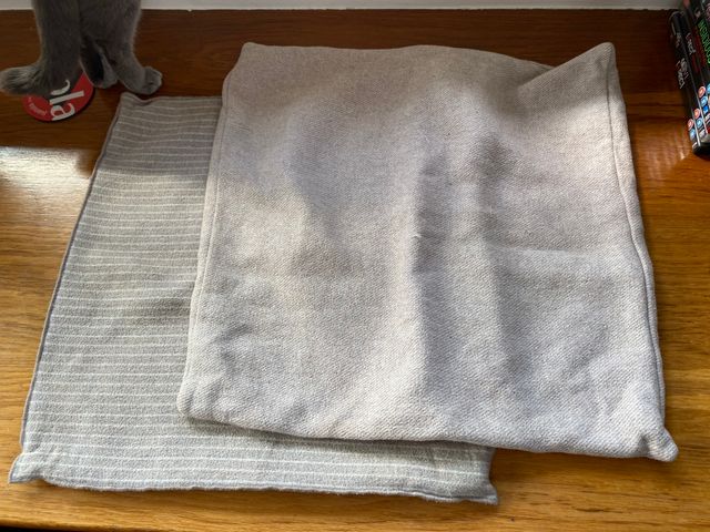 2 COJINERAS ZARA HOME