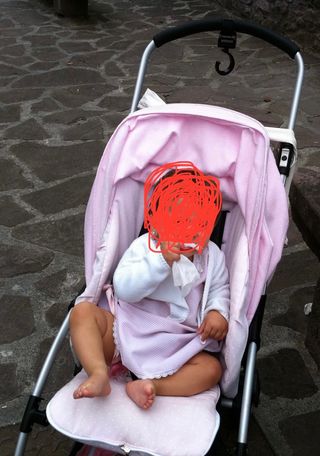 Bugaboo bee
