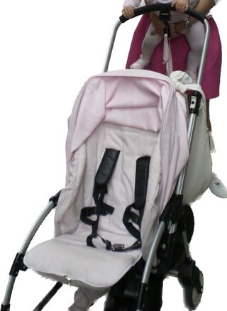 Bugaboo bee