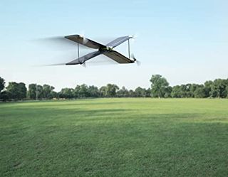 Dron Parrot Swing