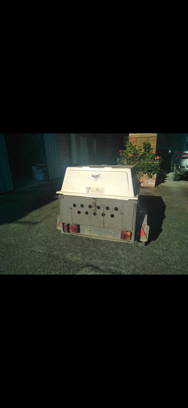 Remolque para transporte perros vendo o cambio 