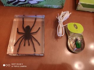 Lote de bichos National Geographic