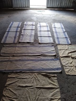 Máquina matanza ELMA 22