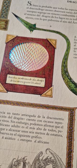 vendo libro de dragones