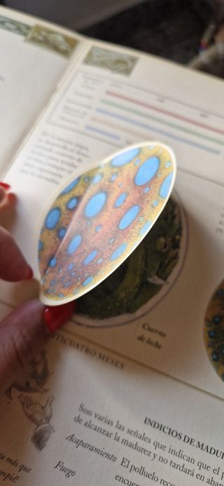 vendo libro de dragones