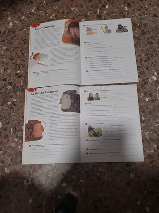 LENGUA CASTELLANA 5 PRIMARIA