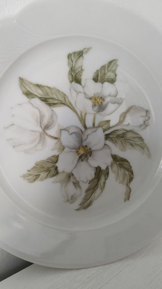 Plato porcelana Schirnding Bavaria