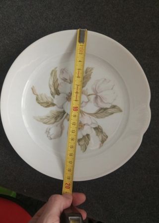 Plato porcelana Schirnding Bavaria