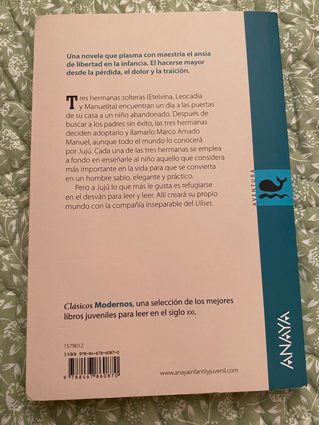 El polizon del Ulises