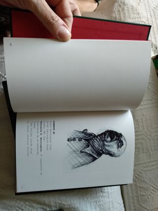 Norrington Jr. and friends. G . Llaguno