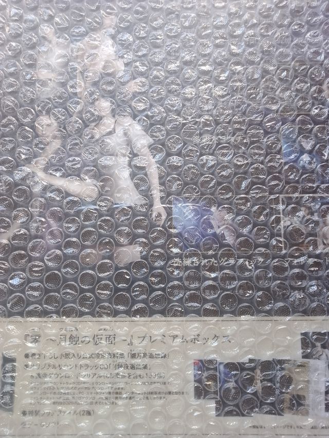 fatal frame PREMIUM BOX switch