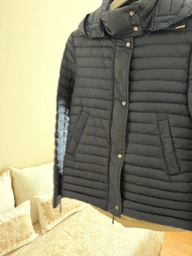 Plumas marca Zara Nueva