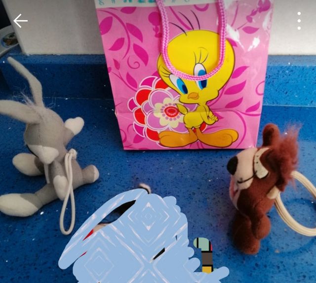 Coleteros Warner bros