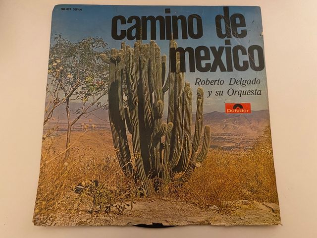 Camino de Mexico-Roberto Delgado