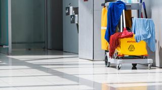 Reformas,Limpieza, Mudanzas,Pintura,Parquet,Pladur