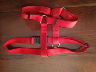 Arnes para perro.