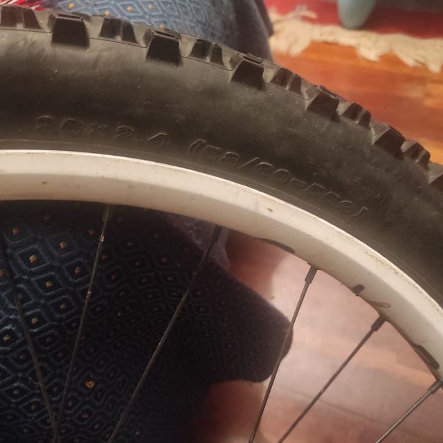 bicicleta MSC F3.0 descenso