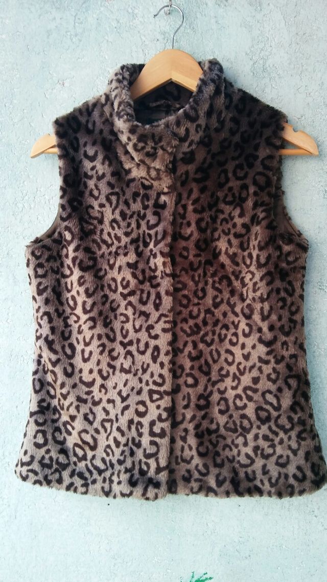 Chaleco atigrado 🐯