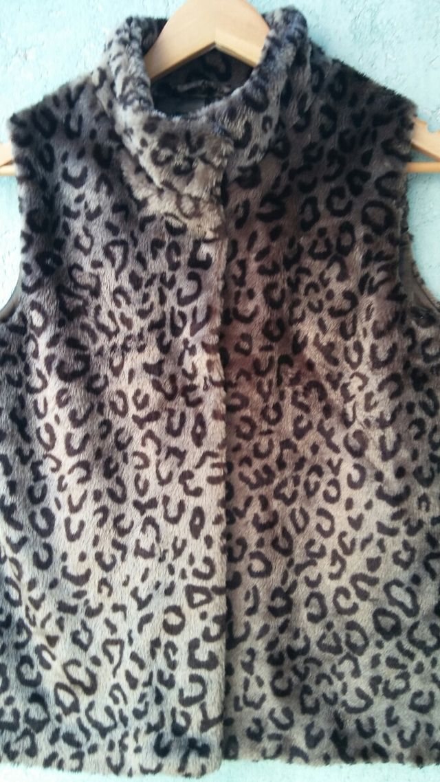 Chaleco atigrado 🐯