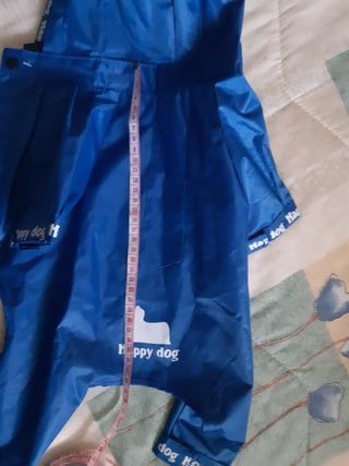 Chubasquero  perrito, mascota. Regalo