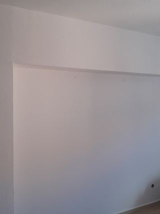 Pintor Económico 
