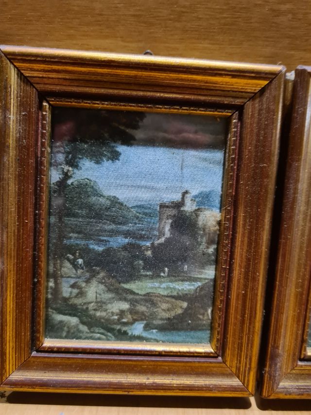 Coppia di quadri/dipinti