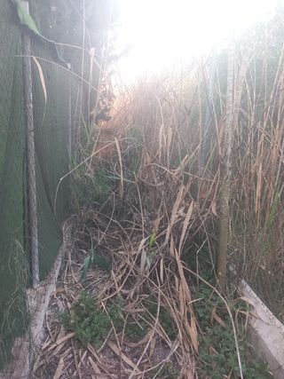 🏡Trabajos de huerta/campo Jardineria