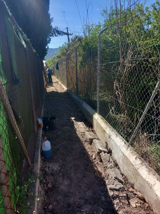 🏡Trabajos de huerta/campo Jardineria