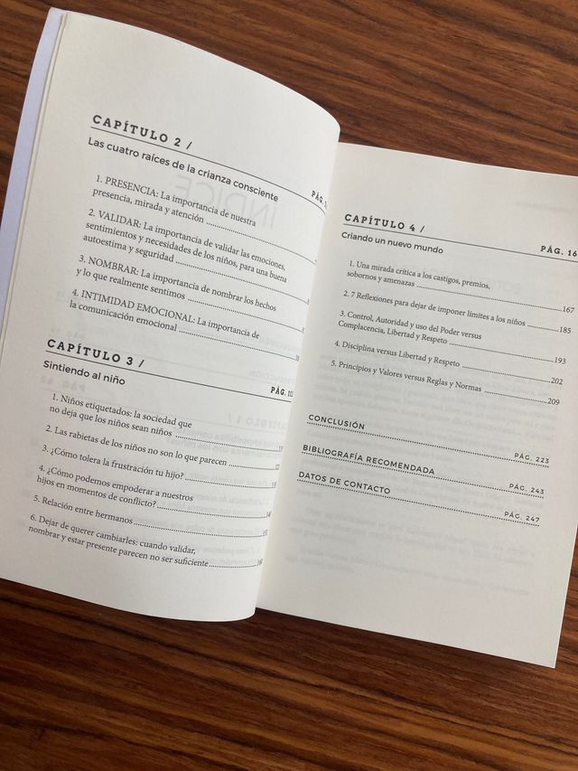 Dar voz al niño. Yvonne laborda.