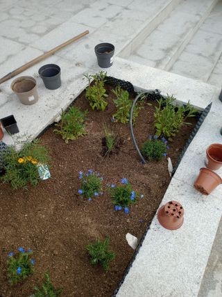 jardinería en Gral.