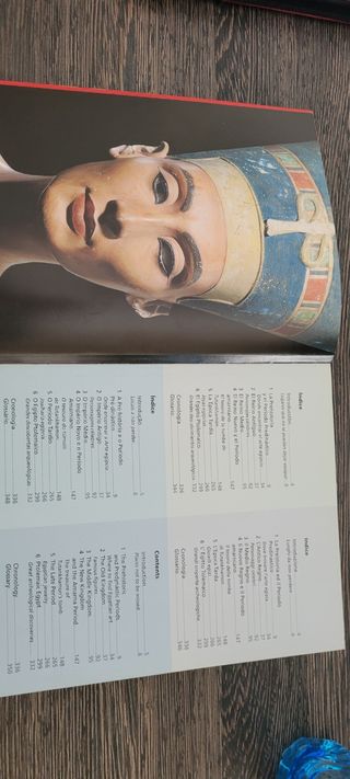 Libro Arte Egipcio Ilustrado