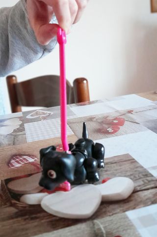 Pet Parade parco giochi con cucciolo