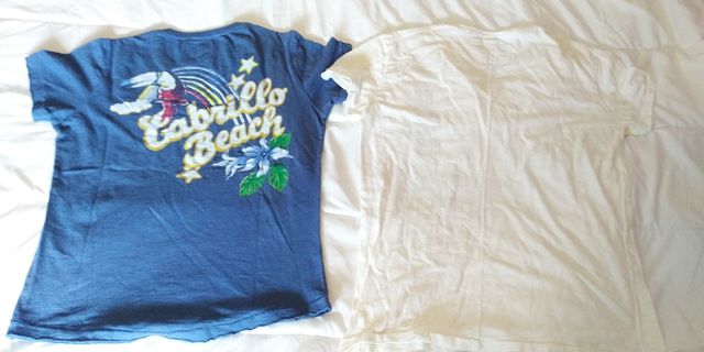 Dos camisetas marca Replay