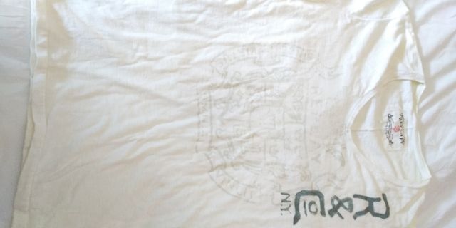 Dos camisetas marca Replay