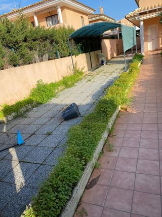 Mantenimiento de jardines( presupuesto)