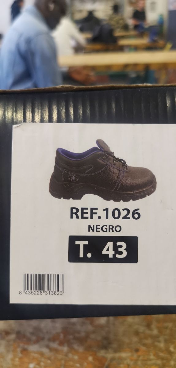 zapato seguridad