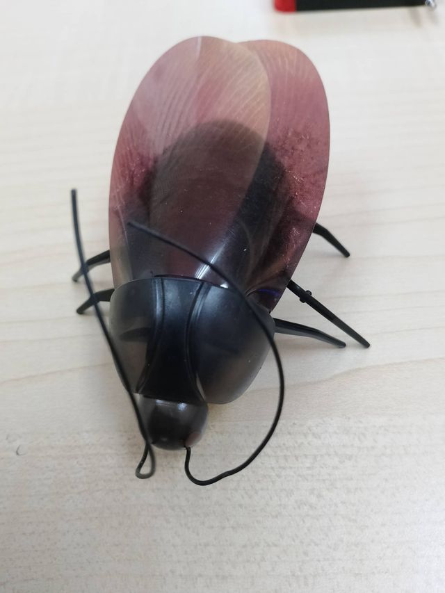 Escarabajo radio control fluorescente i-Robot
