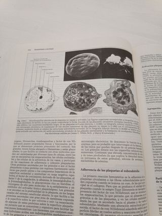 Medicina interna tomo1