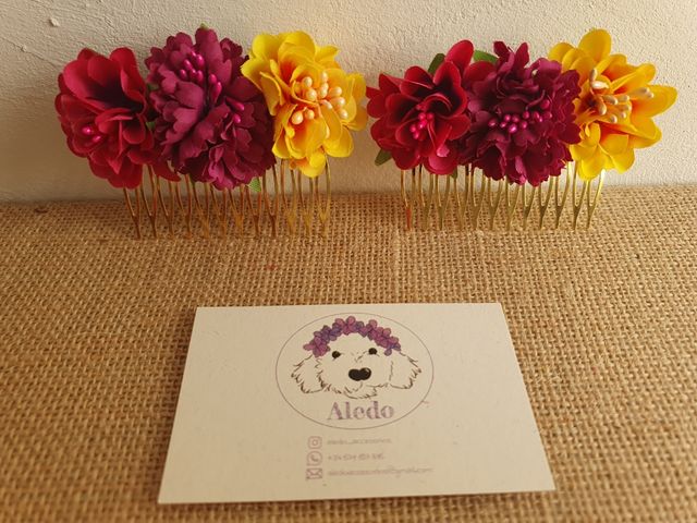 Conjunto Pendientes y peinecillos