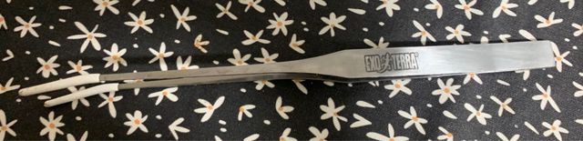 Pinzas acero inoxidable para reptiles