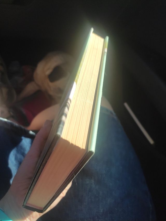 Jorge Bucay Cartas para Claudia