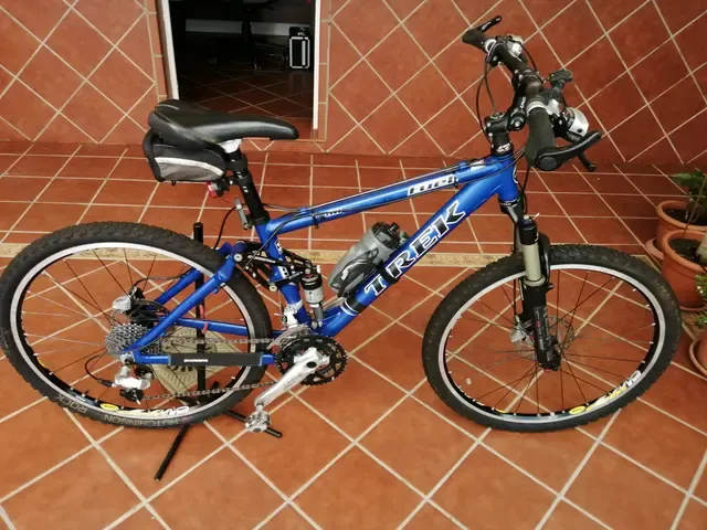 Trek fuel 80