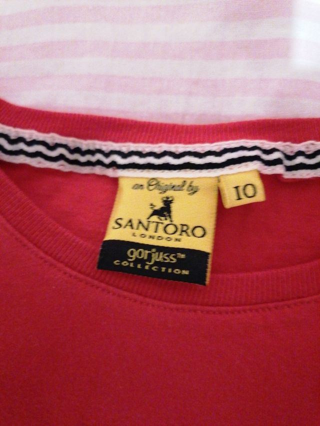 t10. Camiseta Santoro