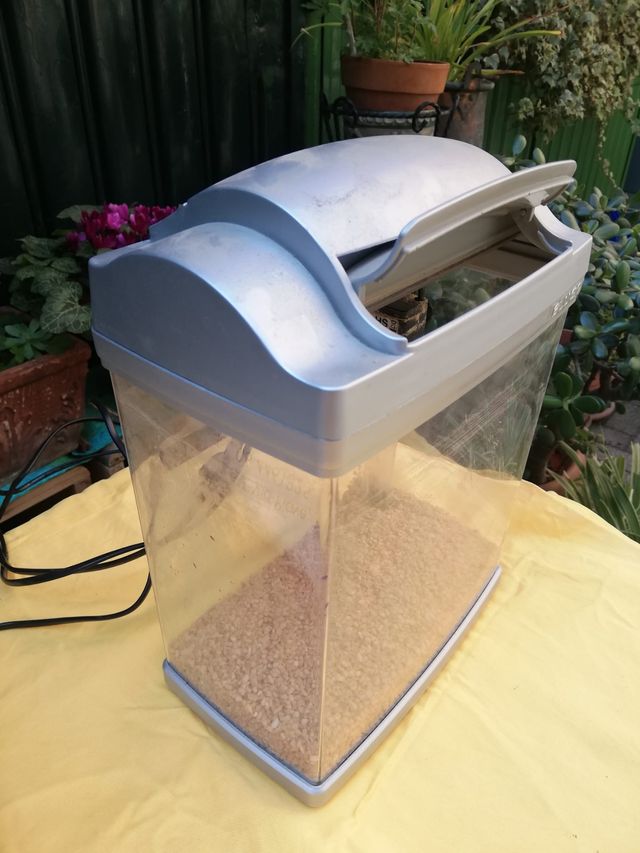 Acquario nursery 7 Lt. per piccolo allevamento