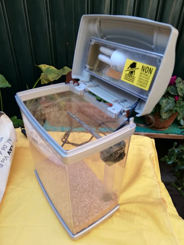 Acquario nursery 7 Lt. per piccolo allevamento