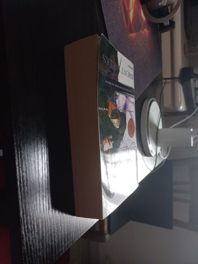 El camino de las sombras