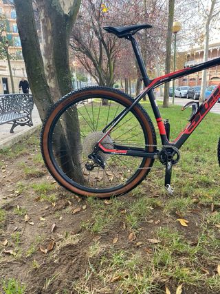 Willier triestina 501xn